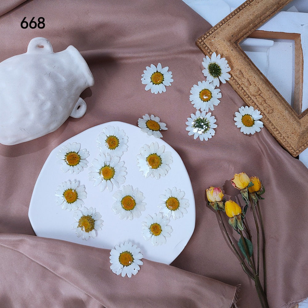 Real Big Flowers Daisy Earrings Resin