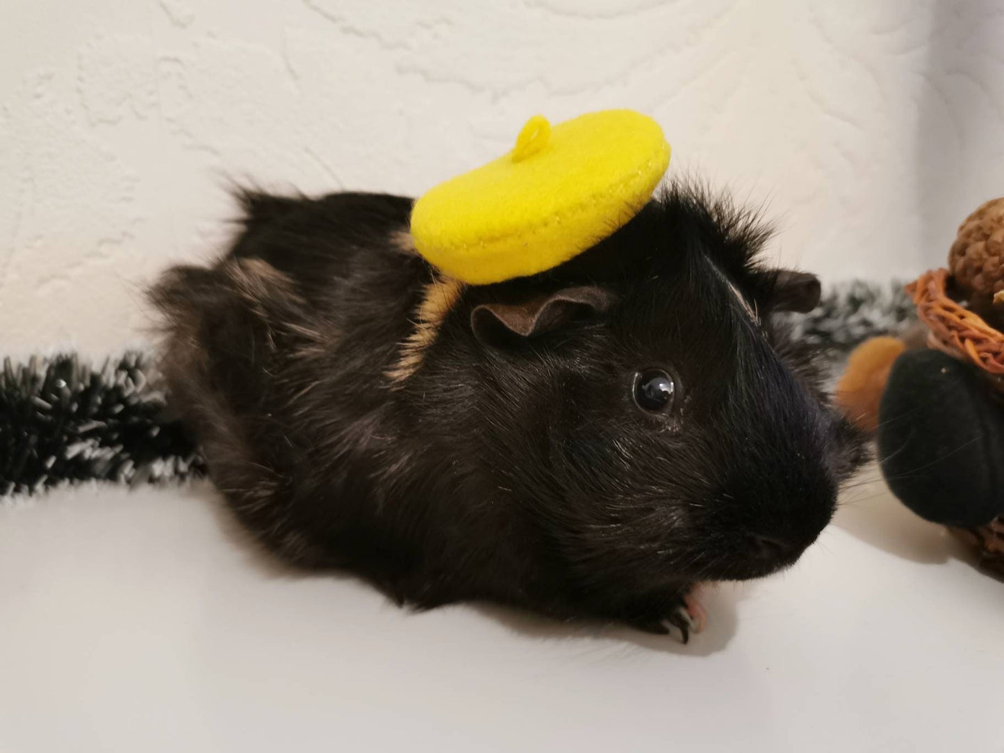 Guinea Pig Beret Hat