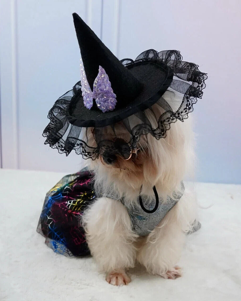 Dog Cat Halloween Witch Hat Adjustable Animal Chihuahua Pomeranian Yorkshire Terrier 