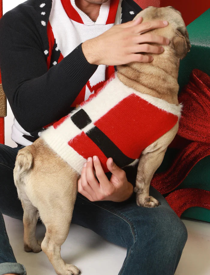 Red Santa Costume Christmas Jumper for Small Dogs