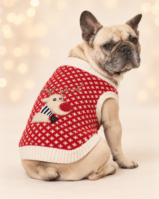 Red Reindeer Christmas Jumper for Small Dogs