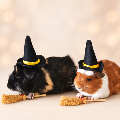 Guinea Pig Halloween costume hat and broom