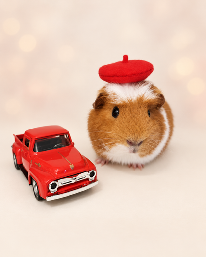 Guinea Pig Beret Hat
