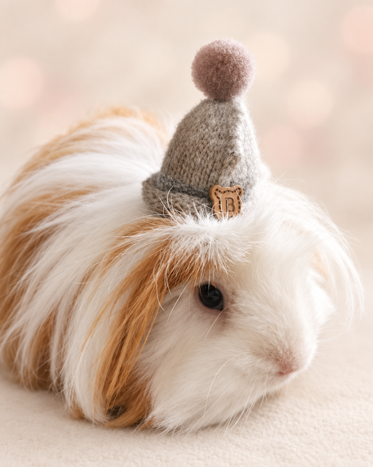 Cute Guinea Pig Winter Wool Hat Photo Prop Mouse Hamster Chinchilla Pet Small Animal Bearded dragon Hedgehog doll hat