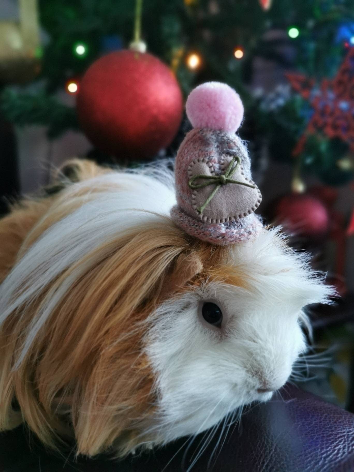 Cute Guinea Pig Winter Wool Hat Photo Prop Mouse Hamster Chinchilla Pet Small Animal Bearded dragon Hedgehog doll hat