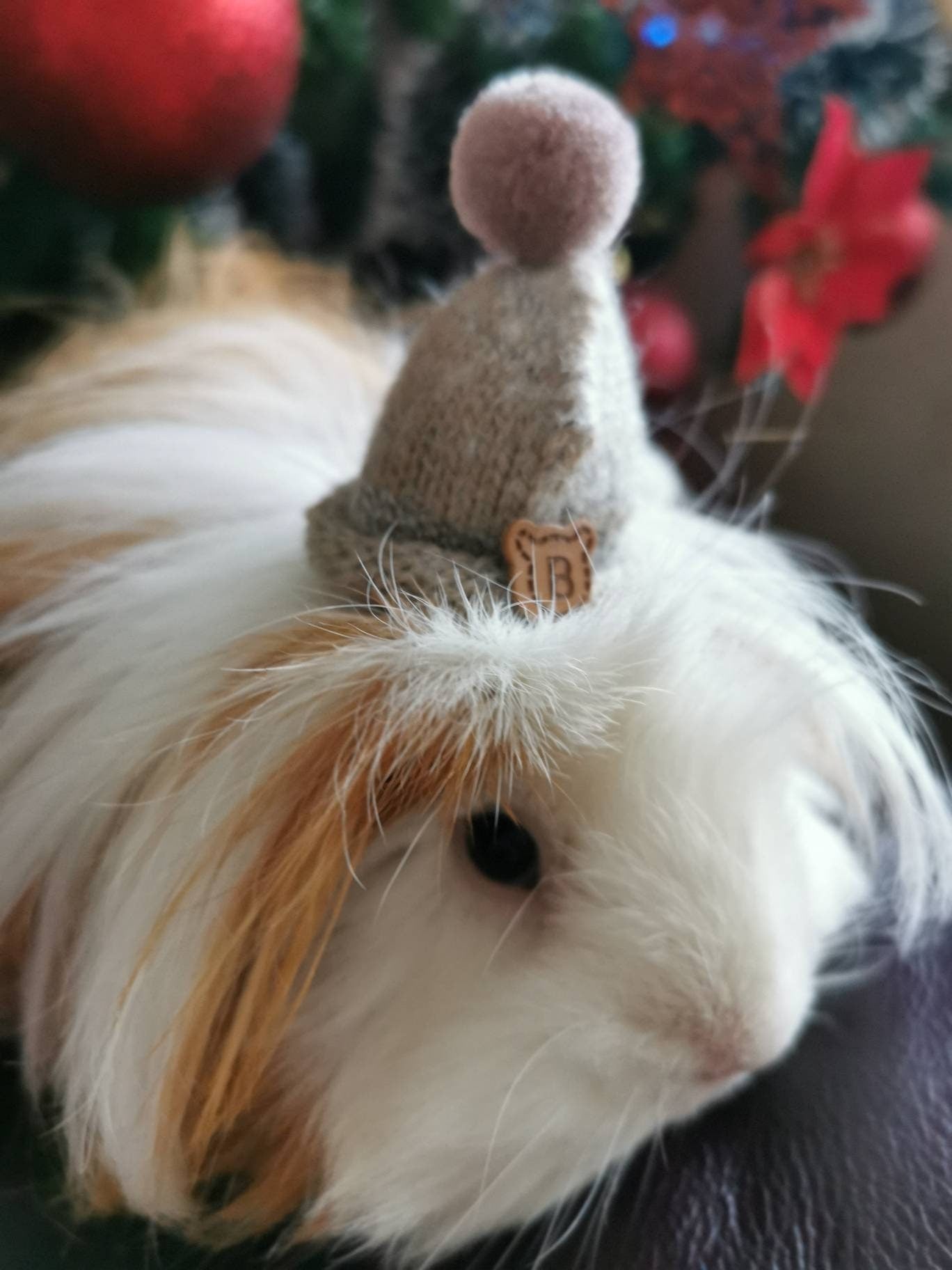Cute Guinea Pig Winter Wool Hat Photo Prop Mouse Hamster Chinchilla Pet Small Animal Bearded dragon Hedgehog doll hat