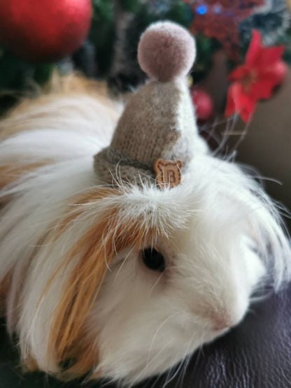Cute Guinea Pig Winter Wool Hat Photo Prop Mouse Hamster Chinchilla Pet Small Animal Bearded dragon Hedgehog doll hat