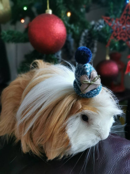 Cute Guinea Pig Winter Wool Hat Photo Prop Mouse Hamster Chinchilla Pet Small Animal Bearded dragon Hedgehog doll hat