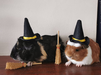 Guinea Pig Halloween costume hat and broom