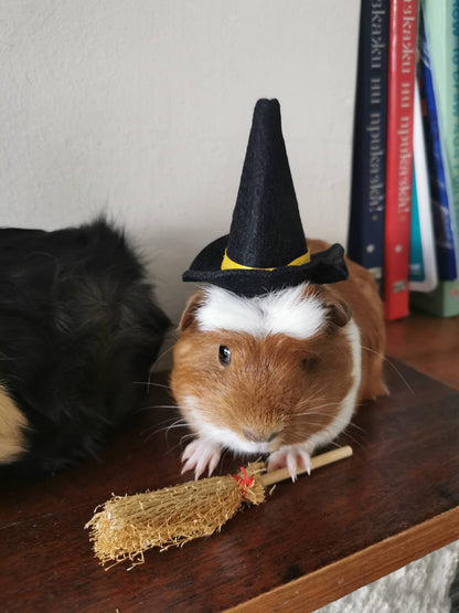 Guinea Pig Halloween costume hat and broom