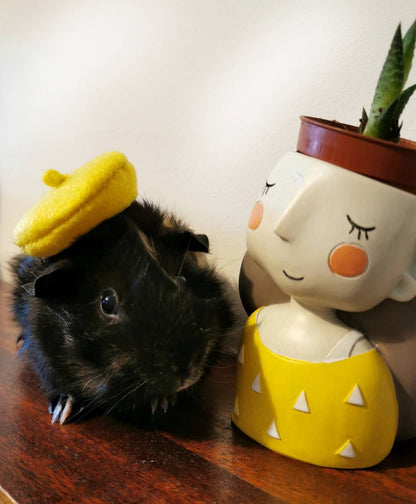 Guinea Pig Beret Hat