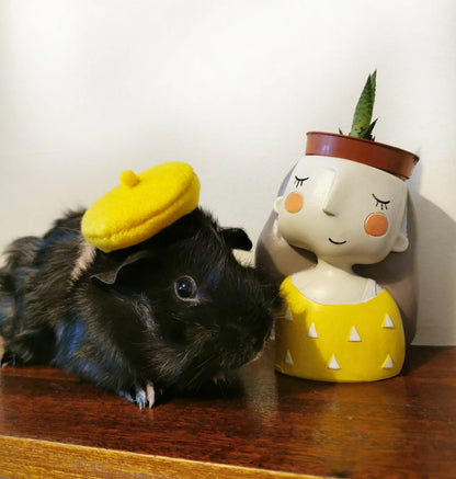 Guinea Pig Beret Hat