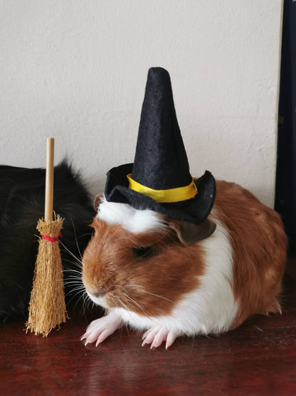 Guinea Pig Halloween costume hat and broom