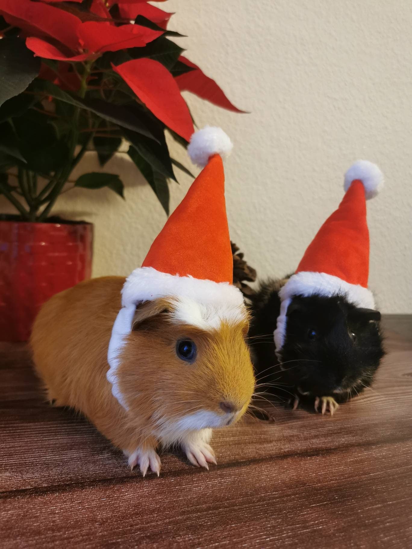 Christmas Small Animal Hat Guinea pig Santa Hat Santa Claus Hat Rabbit Hamster Guinea Pig Rats Festival Costume Christmas Cap Kitten