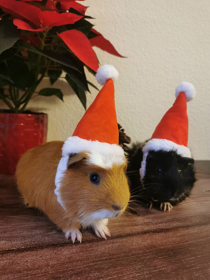 Christmas Small Animal Hat Guinea pig Santa Hat Santa Claus Hat Rabbit Hamster Guinea Pig Rats Festival Costume Christmas Cap Kitten