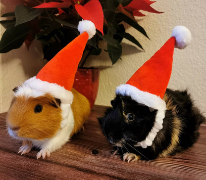 Christmas Small Animal Hat Guinea pig Santa Hat Santa Claus Hat Rabbit Hamster Guinea Pig Rats Festival Costume Christmas Cap Kitten