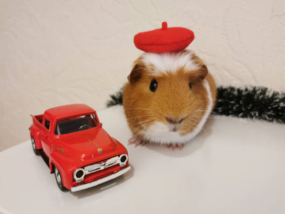 Guinea Pig Beret Hat