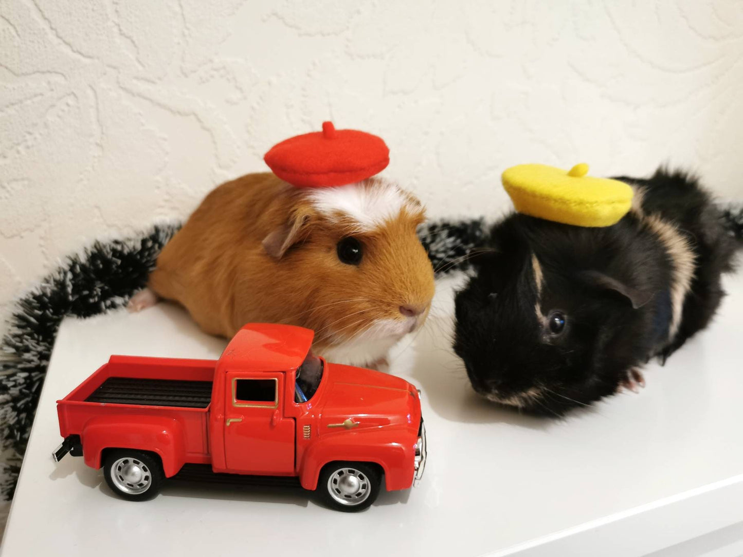Guinea Pig Beret Hat