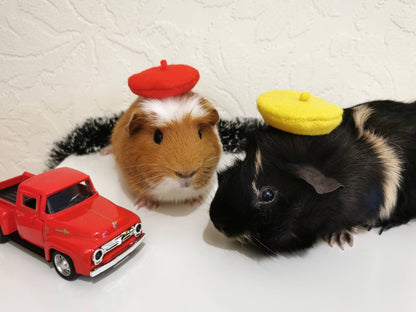 Guinea Pig Beret Hat