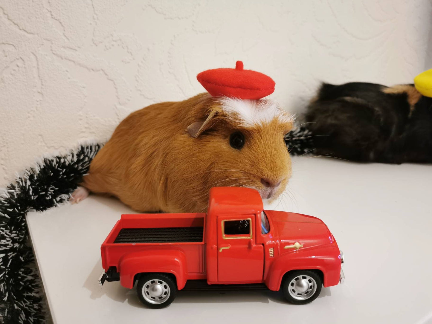 Guinea Pig Beret Hat