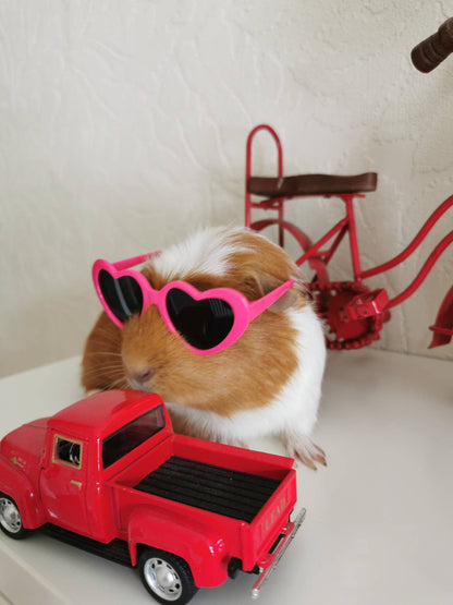 Pet sunglasses Guinea Pig Cat Rabbit Animal Small Dog Heart Glasses Kitten Halloween