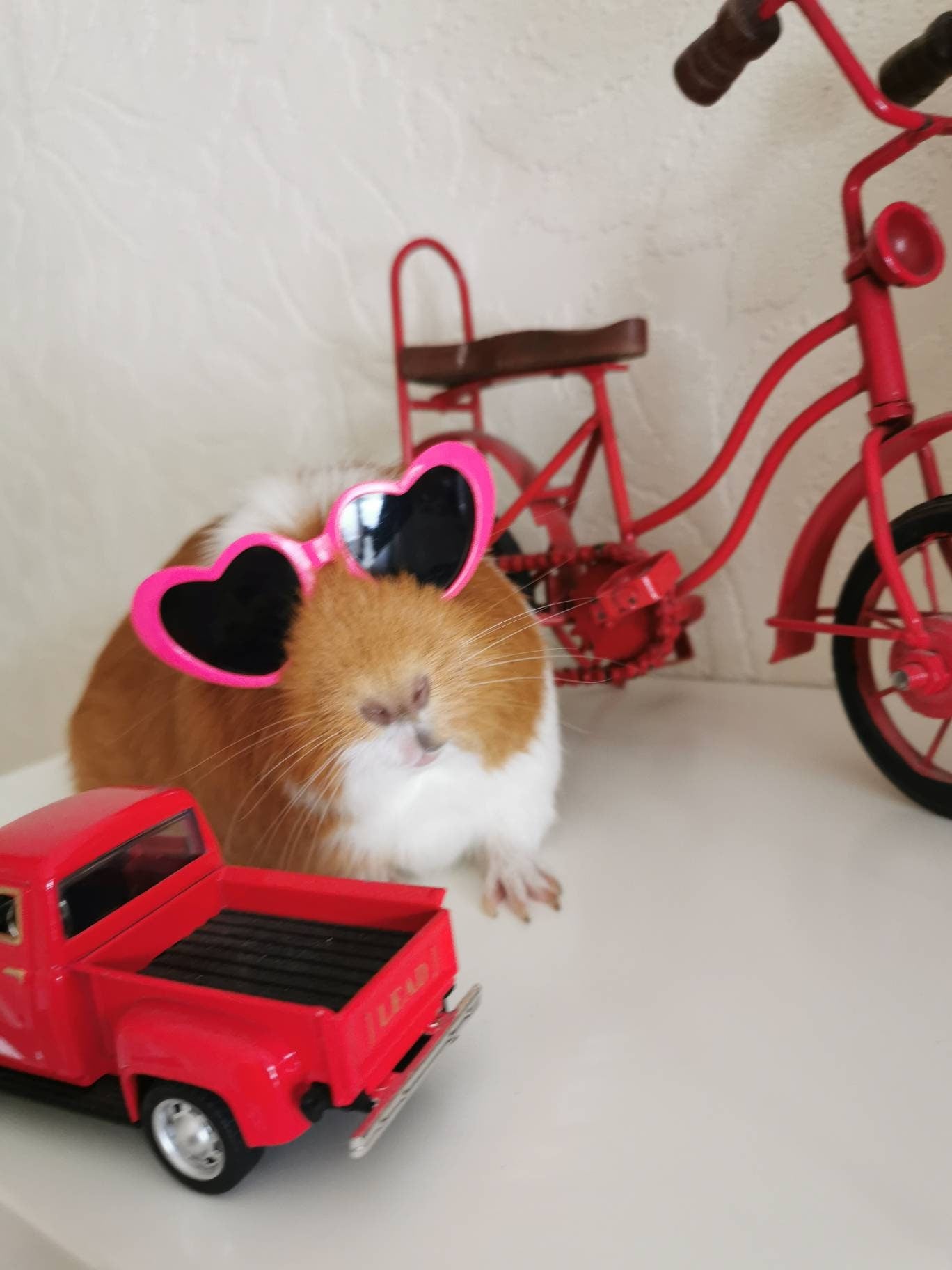 Pet sunglasses Guinea Pig Cat Rabbit Animal Small Dog Heart Glasses Kitten Halloween