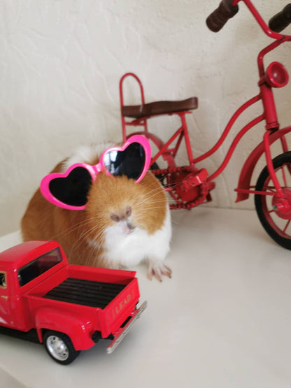 Pet sunglasses Guinea Pig Cat Rabbit Animal Small Dog Heart Glasses Kitten Halloween