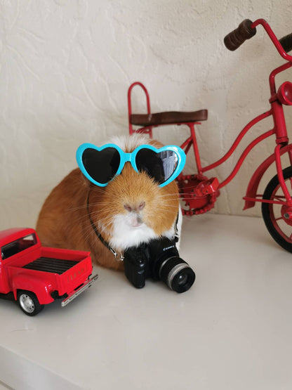 Pet sunglasses Guinea Pig Cat Rabbit Animal Small Dog Heart Glasses Kitten Halloween