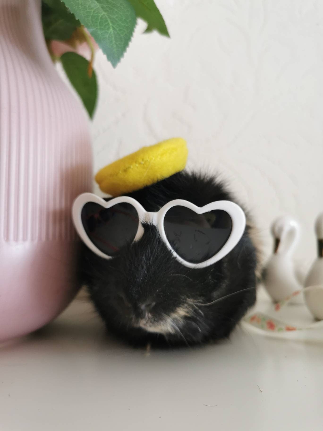 Pet sunglasses Guinea Pig Cat Rabbit Animal Small Dog Heart Glasses Kitten Halloween