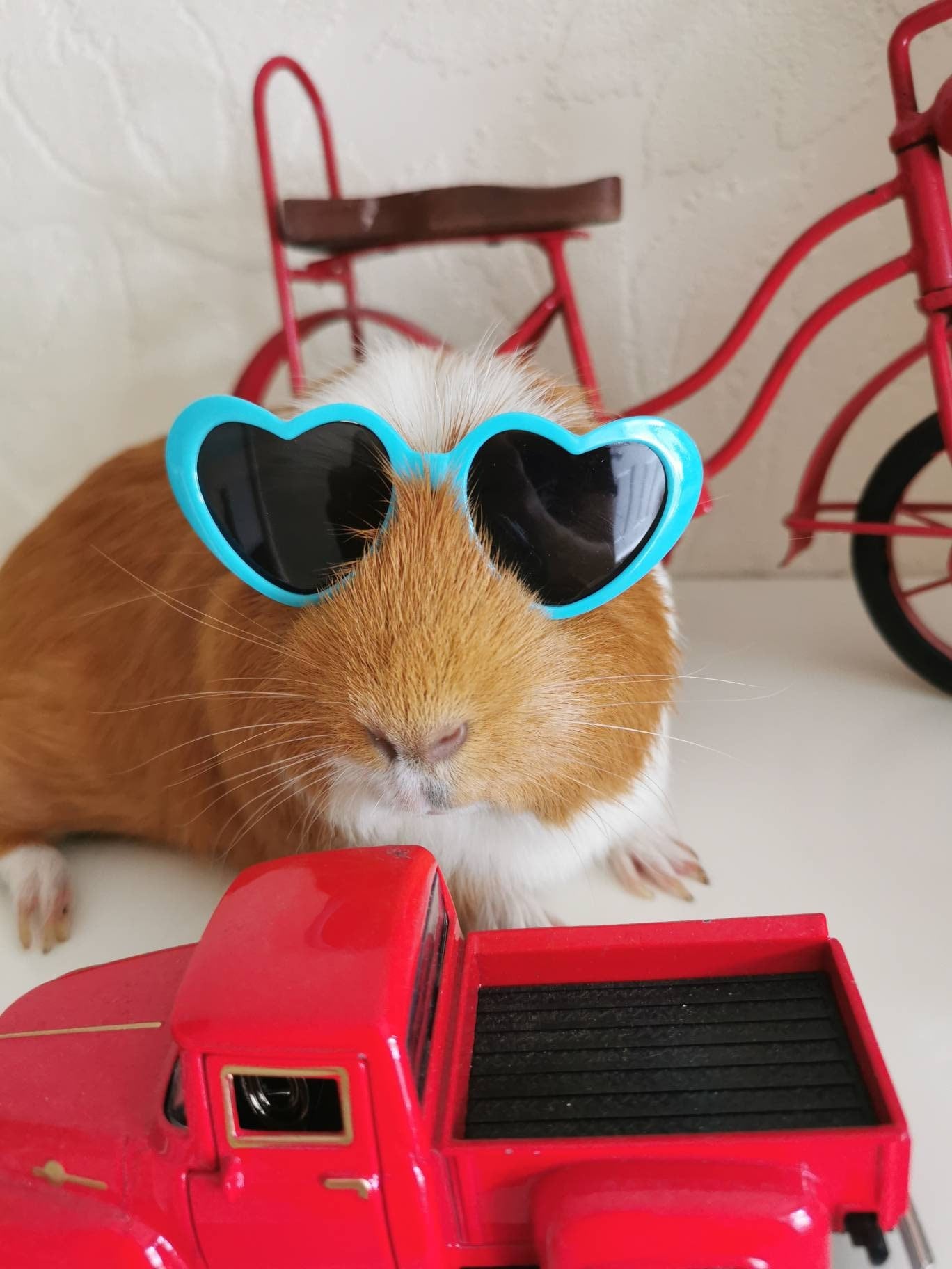 Pet sunglasses Guinea Pig Cat Rabbit Animal Small Dog Heart Glasses Kitten Halloween