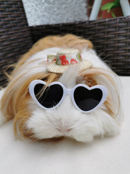 Pet sunglasses Guinea Pig Cat Rabbit Animal Small Dog Heart Glasses Kitten Halloween