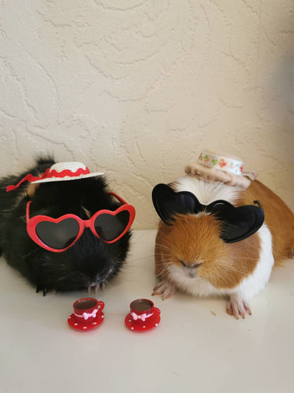 Pet sunglasses Guinea Pig Cat Rabbit Animal Small Dog Heart Glasses Love Red