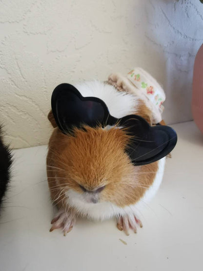 Pet sunglasses Guinea Pig Cat Rabbit Animal Small Dog Heart Glasses Love Red