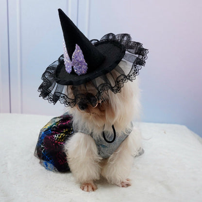 Dog Lady Hat Adjustable  Animal Chihuahua Pomeranian Yorkshire Terrier Dog Cat