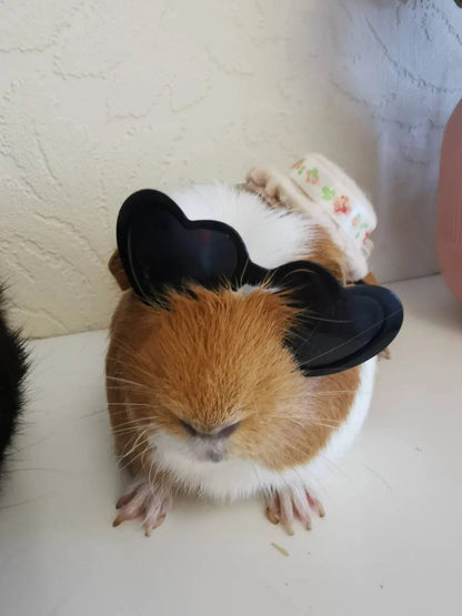 Pet sunglasses Guinea Pig Cat Rabbit Animal Small Dog Heart Glasses Kitten Halloween