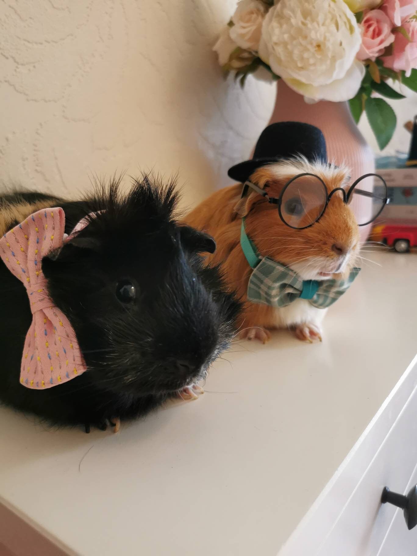 Stylish Cat Kitten Guinea Pig Collar Bowtie Fashion Bow Tie Pet Outfit Small Dog Puppy