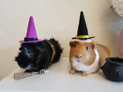 Halloween costume hat broom or Cauldron small pet cat Guinea pig small dog rabbit hedgehog