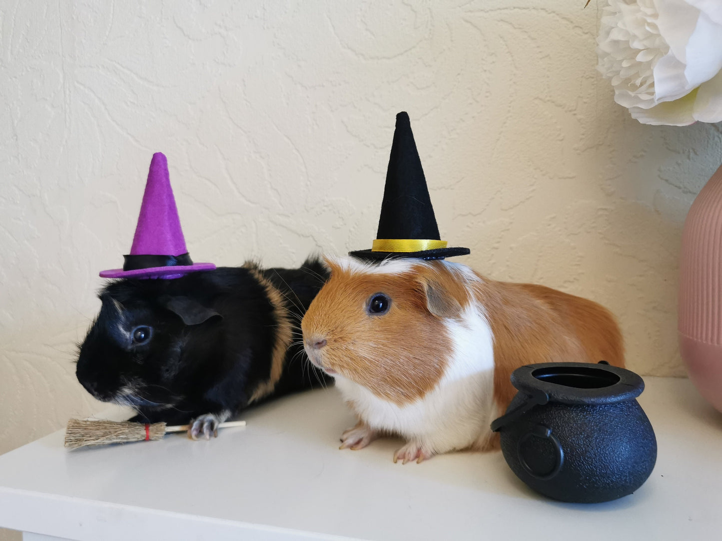 Halloween costume hat broom or Cauldron small pet cat Guinea pig small dog rabbit hedgehog