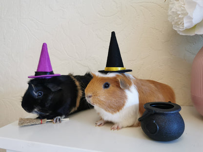 Halloween costume hat broom or Cauldron small pet cat Guinea pig small dog rabbit hedgehog