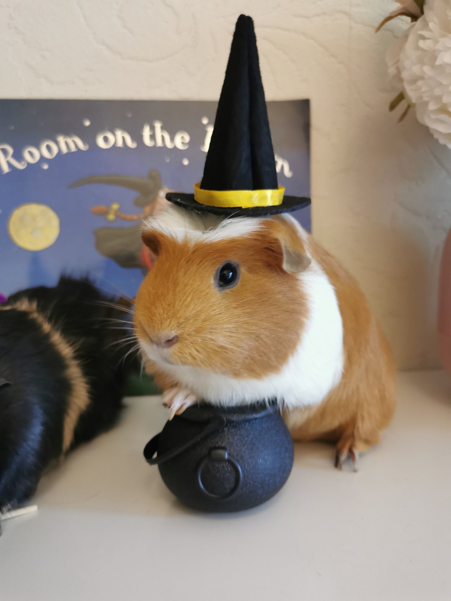 Halloween costume hat broom or Cauldron small pet cat Guinea pig small dog rabbit hedgehog