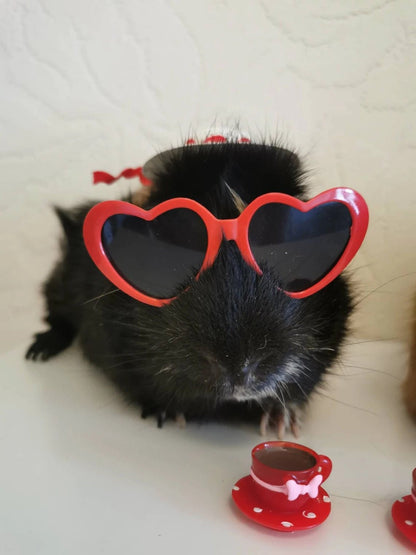 Pet sunglasses Guinea Pig Cat Rabbit Animal Small Dog Heart Glasses Kitten Halloween