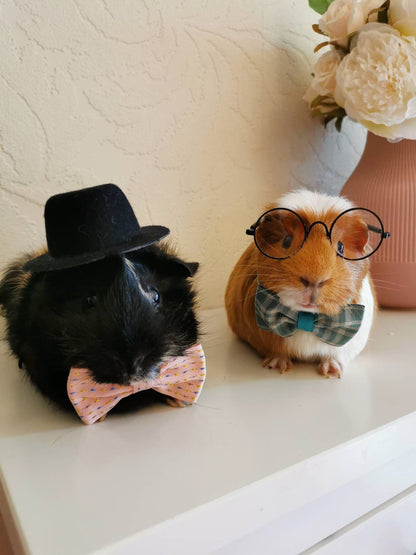 Stylish Cat Kitten Guinea Pig Collar Bowtie Fashion Bow Tie Pet Outfit Small Dog Puppy