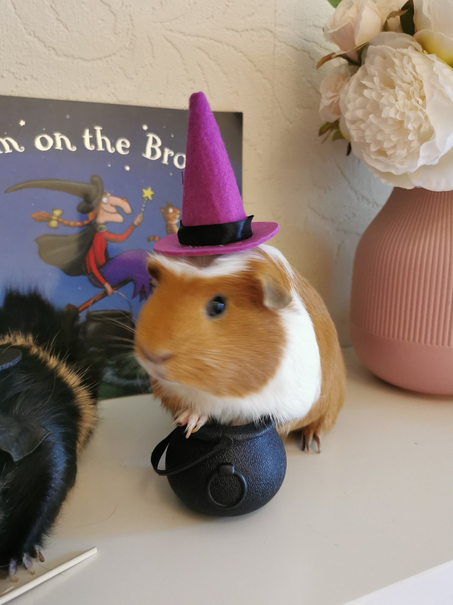 Halloween costume hat broom or Cauldron small pet cat Guinea pig small dog rabbit hedgehog