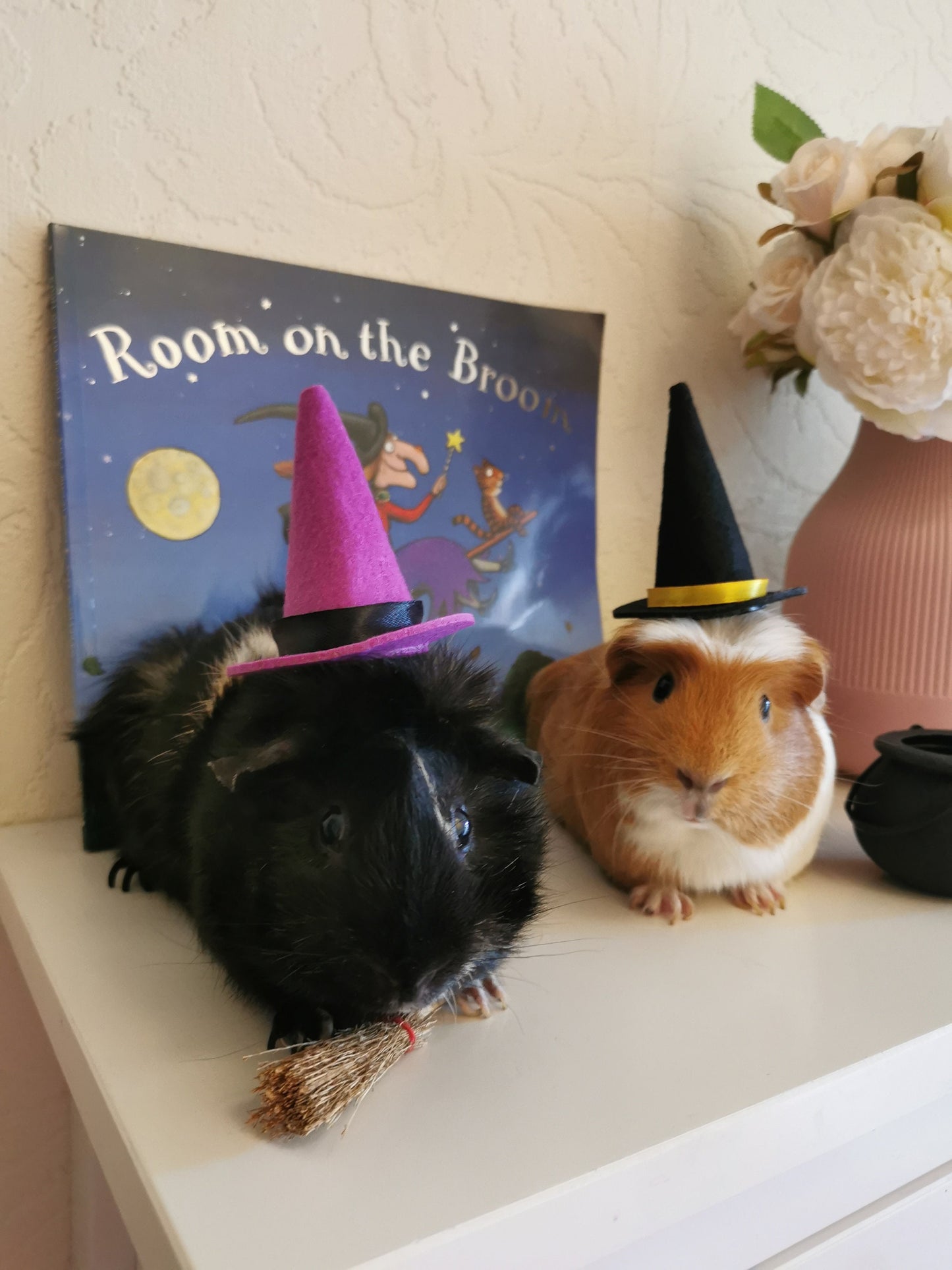 Halloween costume hat broom or Cauldron small pet cat Guinea pig small dog rabbit hedgehog