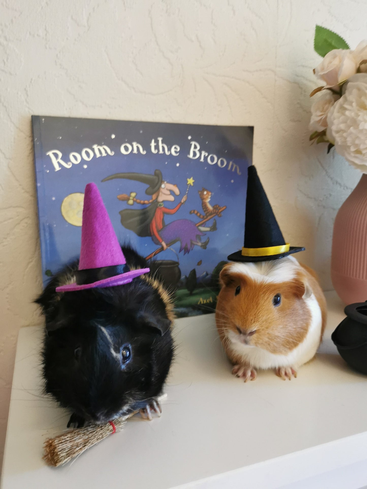 Halloween costume hat broom or Cauldron small pet cat Guinea pig small dog rabbit hedgehog