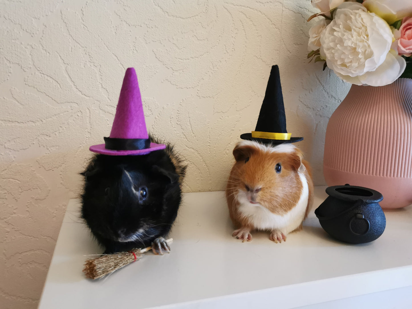 Halloween costume hat broom or Cauldron small pet cat Guinea pig small dog rabbit hedgehog
