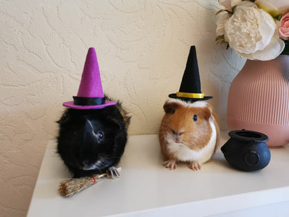 Halloween costume hat broom or Cauldron small pet cat Guinea pig small dog rabbit hedgehog
