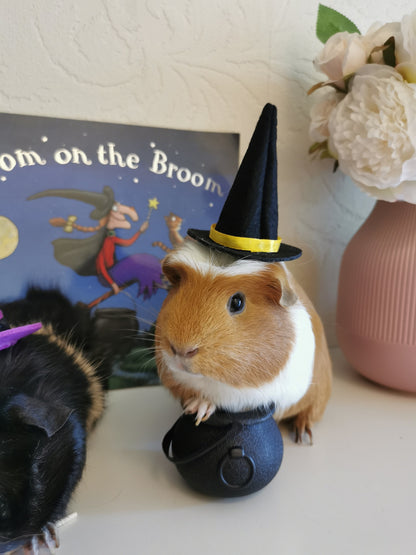 Halloween costume hat broom or Cauldron small pet cat Guinea pig small dog rabbit hedgehog