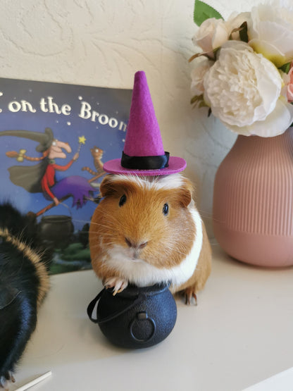 Halloween costume hat broom or Cauldron small pet cat Guinea pig small dog rabbit hedgehog