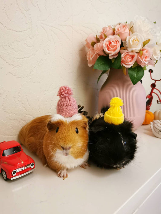 Cute Guinea Pig Winter Wool Hat Red White Photo Prop Mouse Hamster Chinchilla Pet Small Animal